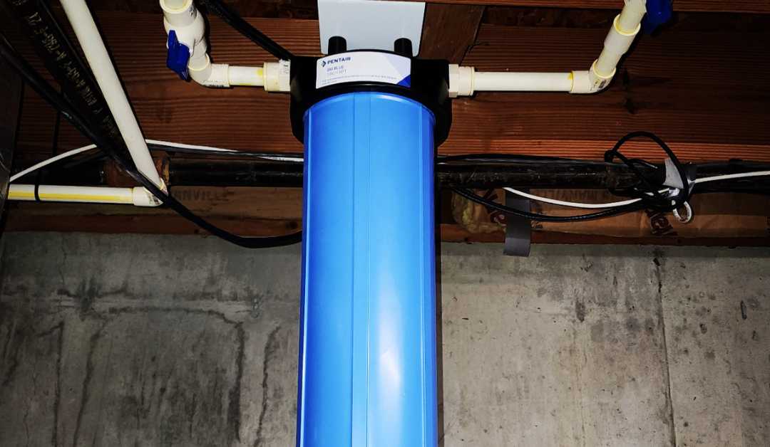 How Carbon Filters Reduce Chlorine Damage